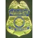 UNITED STATES DEPARTMENT OF THE TREASURY K-9 OFFICER BADGE PIN